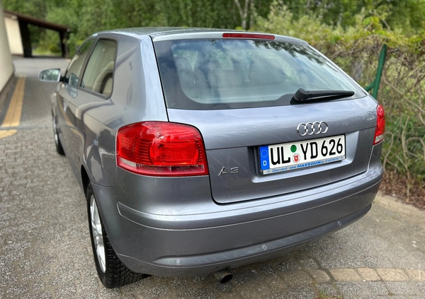 Audi A3 cena 11999 przebieg: 229000, rok produkcji 2003 z Starachowice małe 92